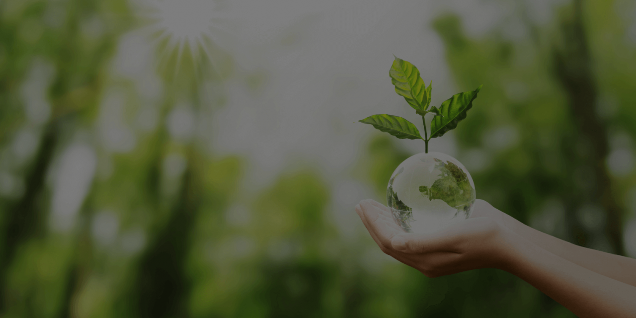 Des maisons plus vertes : des subvention canadienne pour des rénovations écoénergétiques